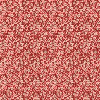 EDELWEIS C 1ROJO EneroRojo