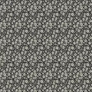 EDELWEIS C 3NEGRO Enero