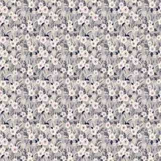 POPPY C 1GRIS AbrilGris