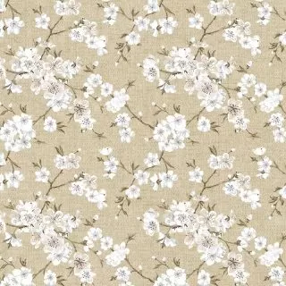 OsakaBeige