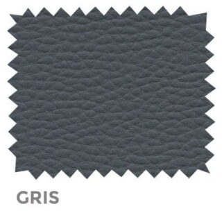 28-Elfos-Gris