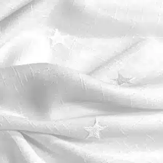 CosmosBlanco