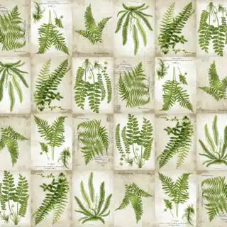 Botanic