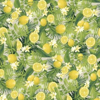 Loneta Limonada