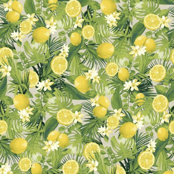 Loneta Limonada