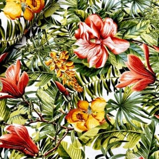 loneta tropical